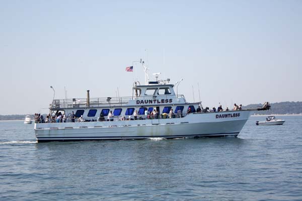 Dauntless party boat point pleasant nj